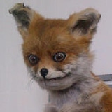 MrReebo's Avatar'
