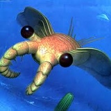 bupboi02's Avatar'
