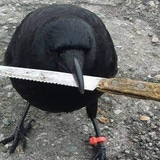 deSchepper's Avatar'