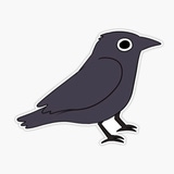 LittleCrow's Avatar'