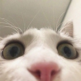 NotItachi's Avatar'