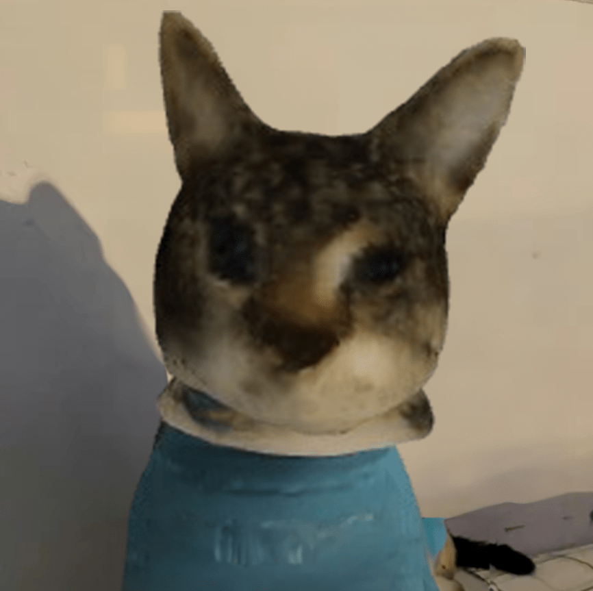's Avatar